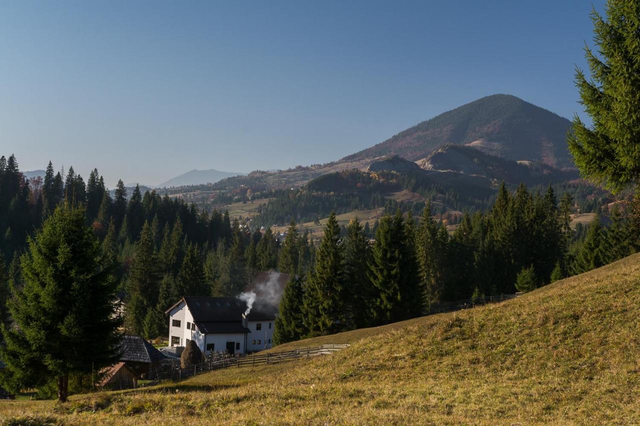 Pensiunea Izvorul Zanelor Colibita Exterior photo